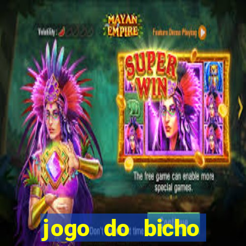 jogo do bicho crash bingo